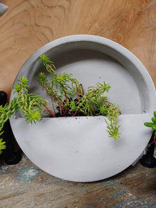 BEAUTIFUL, HEAVY-DUTY, ROUND, TEXTURED, GREY CERAMIC PLANTER. 7” BY 7” BY 2”. NO DRAINAGE HOLE. PLANTS SOLD SEPARATELY.