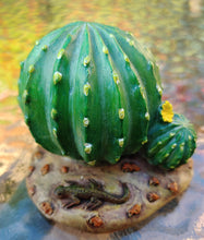 Load image into Gallery viewer, Fairy Garden Cactus with Flower Fairy Garden Miniatures DIY Dollhouse Accessory