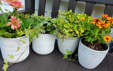 Load image into Gallery viewer, Planters l 5&quot; Cement Look White Washed Boho  l  Pots l 4 Modern designs to choose from
