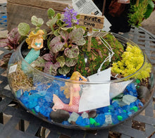 Load image into Gallery viewer, Fairy Garden l  Hidden Treasure Chest | MG299