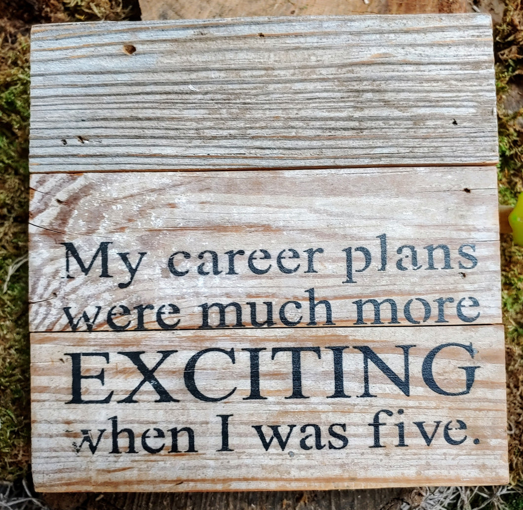 My Career Plans Were Much More Exciting When I was Five |  6