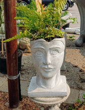 Load image into Gallery viewer, Cement Man Head Planter Pot