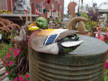 Load image into Gallery viewer, Drake Mallard | Lifelike Decoy Sculpture