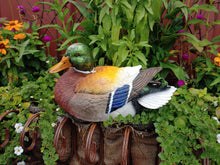 Load image into Gallery viewer, Drake Mallard | Lifelike Decoy Sculpture