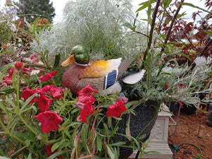 Drake Mallard | Lifelike Decoy Sculpture