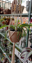 Load image into Gallery viewer, Macramé Plant Hanger with 4&quot; Terracotta Pot