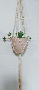 Macramé Plant Hanger with 4" Terracotta Pot