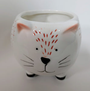 White Ceramic Cat planter, has black feet on little legs.  Has little flecks of ginger on the face above the nose and body.  Pink rimmed ears,cute triangle black nose little smile and three whiskers on each side of the nose.  There are pads on the bottom of each foot.