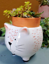 Load image into Gallery viewer, Ceramic Cat Planter |  White and Ginger Kitten Pot for succulents