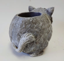 Load image into Gallery viewer, Cute Indoor Cat Planter for Succulents