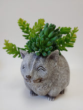 Load image into Gallery viewer, Cute Indoor Cat Planter for Succulents