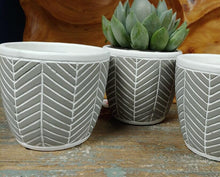 Load image into Gallery viewer, 4&quot; Succulent Planter | Chevron Design