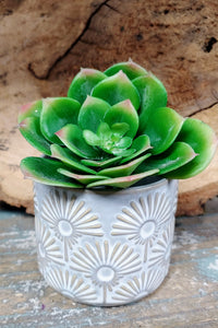 3 INCH BY 3 INCH, CERAMIC, SUCCULENT PLANTER POT. GREY-BLUE POT WITH LIGHT TAN COLORED ‘SUNBURST’ DESIGN. IT IS SITTING ON A WOODEN TABLE, IN FRONT OF A WOODEN, ROUGH-EDGED TRAY LEANING ON A BLUE WALL. HOLDING SOIL AND SUCCULENT WITH BRIGHT GREEN LEAVES AND PINK TIPS. SOIL AND PLANTS SOLD SEPARATELY.