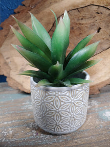 3 INCH BY 3 INCH, CERAMIC, SUCCULENT PLANTER POT. GREY-BLUE POT WITH LIGHT TAN COLORED ‘FLOWERS’ DESIGN. IT IS SITTING ON A WOODEN TABLE, IN FRONT OF A WOODEN, ROUGH-EDGED TRAY LEANING ON A BLUE WALL. HOLDING SOIL AND SUCCULENT WITH SOIL AND DARK GREEN “SPIKY” LEAVES. SOIL AND PLANTS SOLD SEPARATELY.