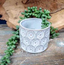 Load image into Gallery viewer, 3 INCH BY 3 INCH, CERAMIC, SUCCULENT PLANTER POT. GREY-BLUE POT WITH LIGHT TAN COLORED ‘CIRCLES’ DESIGN. IT IS SITTING ON A WOODEN TABLE, IN FRONT OF A WOODEN, ROUGH-EDGED TRAY LEANING ON A BLUE WALL. HOLDING SOIL AND SUCCULENT WITH DARK GREEN “STRING OF PEARLS” DRAPED AROUND IT; POT IS EMPTY. SOIL AND PLANTS SOLD SEPARATELY.