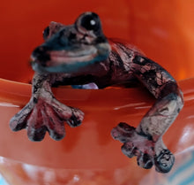 Load image into Gallery viewer, Lizard Pot Hangers -  4&quot; - Lizard Friends  -