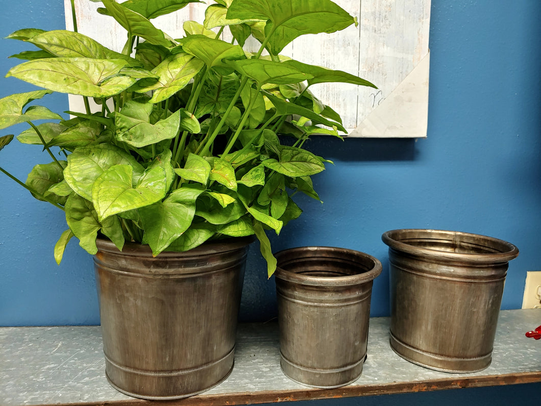 3 METAL BUCKET PLANTERS | LOOK OF VINTAGE HAMMERED METAL | 3 SIZES: S, M, L | LARGE ONE HAS LIGHT GREEN FOLIAGE IN IT.