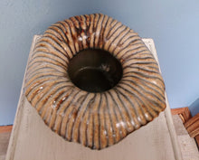 Load image into Gallery viewer, This nature inspired unique and eclectic shell look planter will add the perfect accent to your home or office. IDEAL for herbs, succulent, indoor and outdoor plants both real and artificial. Imagine this exotic planter pot on your home balcony, table top, window sills, kitchen garden, and office desk and anywhere as a decor.