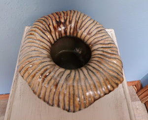 This nature inspired unique and eclectic shell look planter will add the perfect accent to your home or office. IDEAL for herbs, succulent, indoor and outdoor plants both real and artificial. Imagine this exotic planter pot on your home balcony, table top, window sills, kitchen garden, and office desk and anywhere as a decor.
