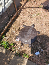 Load image into Gallery viewer, Cast Iron Turtles Stepping Stones | Yard Art