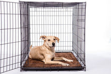 Load image into Gallery viewer, The Original Dirty Dog Doormat | Large and Medium sizes | 3 colors available