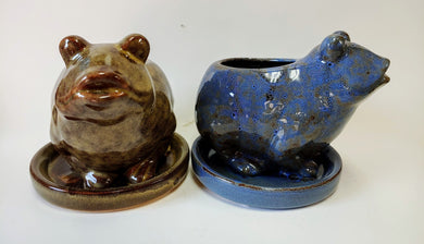 Ceramic Frog Planter with Saucer Succulent Pot Frog Lover’s Gift