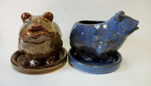 Ceramic Frog Planter with Saucer | Animal Succulent Pot