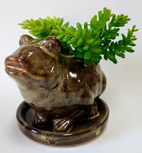 Ceramic Frog Planter with Saucer Succulent Pot Frog Lover’s Gift