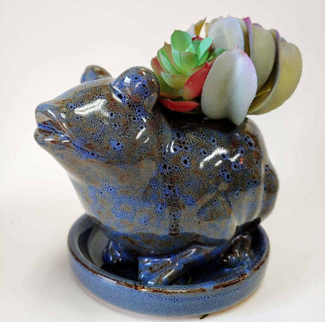 Ceramic Frog Planter with Saucer Succulent Pot Frog Lover’s Gift