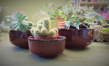 Load image into Gallery viewer, Ceramic Shallow Succulent Planters | Ridged Teal | 3 sizes