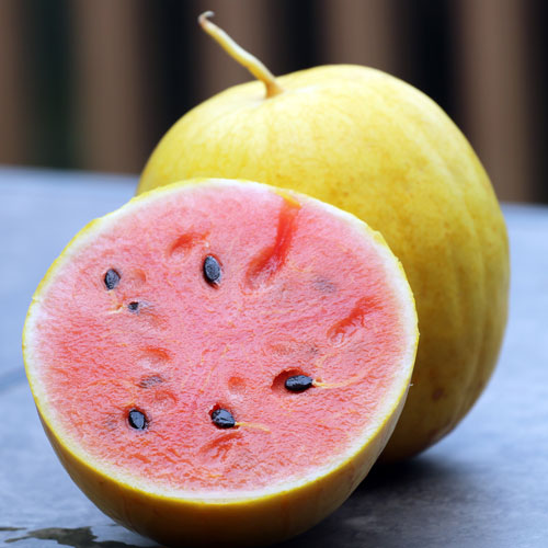 Golden Midget Watermelon Seeds