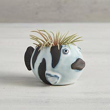Load image into Gallery viewer, Mini Ceramic Animal Planters for Succulents