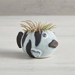 Mini Ceramic Animal Planters for Succulents