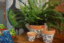 Load image into Gallery viewer, Painted Terra Cotta planter | 3 sizes | white with navy flowers