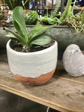 Load image into Gallery viewer, Ceramic Multi Textured Planter White &amp; Brown 4 inch