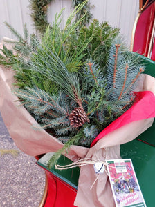 Lg. bundle Evergreen Boughs/Tips 18"-27" 2-3 pound Pack Holiday Parties, Decor, Arrangements, Wreaths, Kissing Ball, Swags