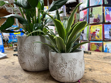 Load image into Gallery viewer, Cement Embossed Wildflower Design planter pot |  Small 4.25&quot; tall | Nature Inspired