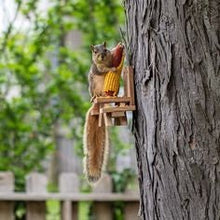 Load image into Gallery viewer, Build it Yourself Squirrel Picnic Kit | DIY | Great activity for Kids and Adults