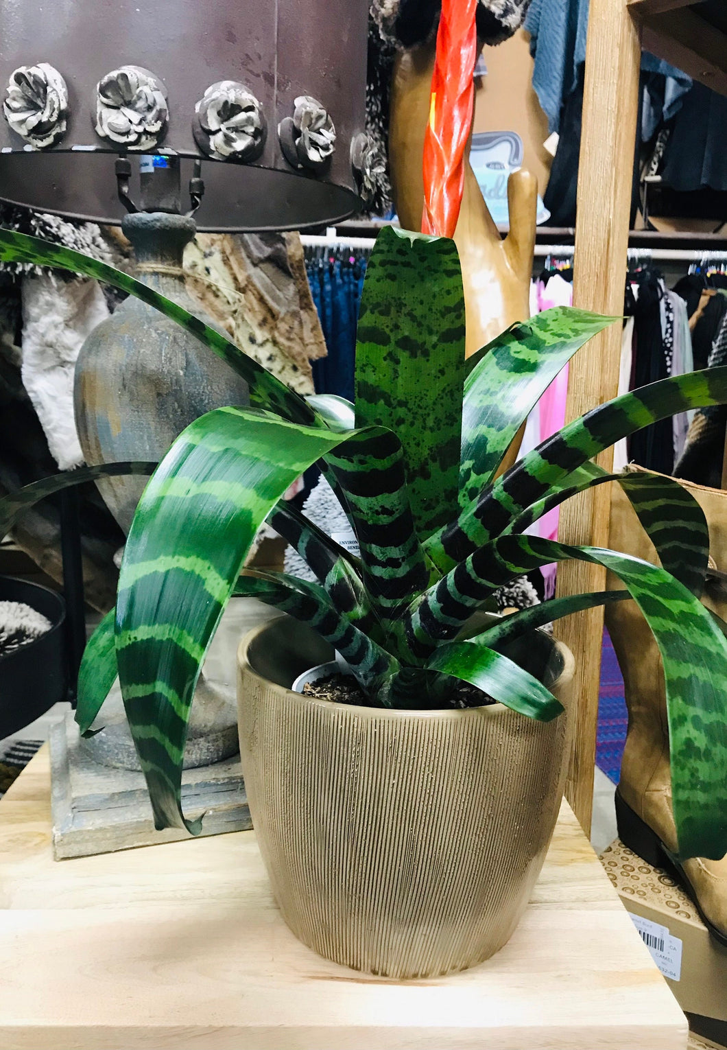 Large brown ceramic planter pot. It has a nice striped texture with a neutral brown glaze. Ideal for houseplants. 