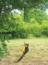 Load image into Gallery viewer, Squirrel Corn Cob Feeder | Bungee Jumper | Backyard Feeder swinger