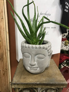 Small Buddha Face Planter Head Planter for succulents  Flower pot gift for mom in outdoor garden