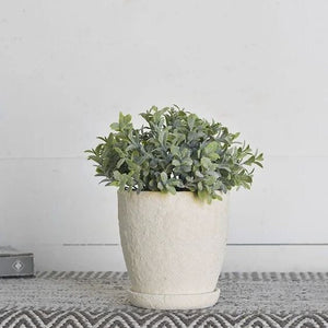 Small White 5"  planter with drainage and  saucer | succulents, cactus, house plants