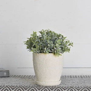 Small White 5"  planter with drainage and  saucer | succulents, cactus, house plants