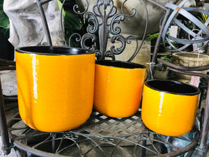 Medium Rounded Modern Style Ceramic Planter | Mustard Yellow with Black Edge | Crackle Glaze
