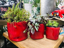 Load image into Gallery viewer, Small Crumpled Look Modern Style Ceramic Planter | Red with Black Edge
