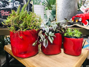 Small Crumpled Look Modern Style Ceramic Planter | Red with Black Edge