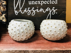 Small Round White and Gray Textured Dotted planter | ceramic glazed 3" | succulents, cactus