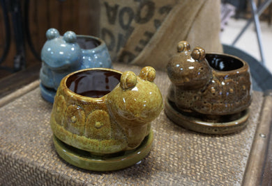 Turtle Ceramic Indoor succulent Planter Pot 6.5