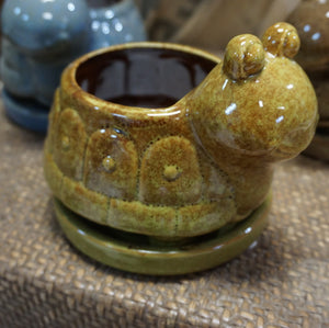 Turtle Ceramic Indoor succulent Planter Pot 6.5" Turtle Lover's Gift
