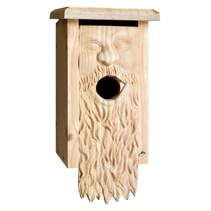 SALE! Carved Father Time Blue Bird House | Nature Inspired Outdoor Birdhouse